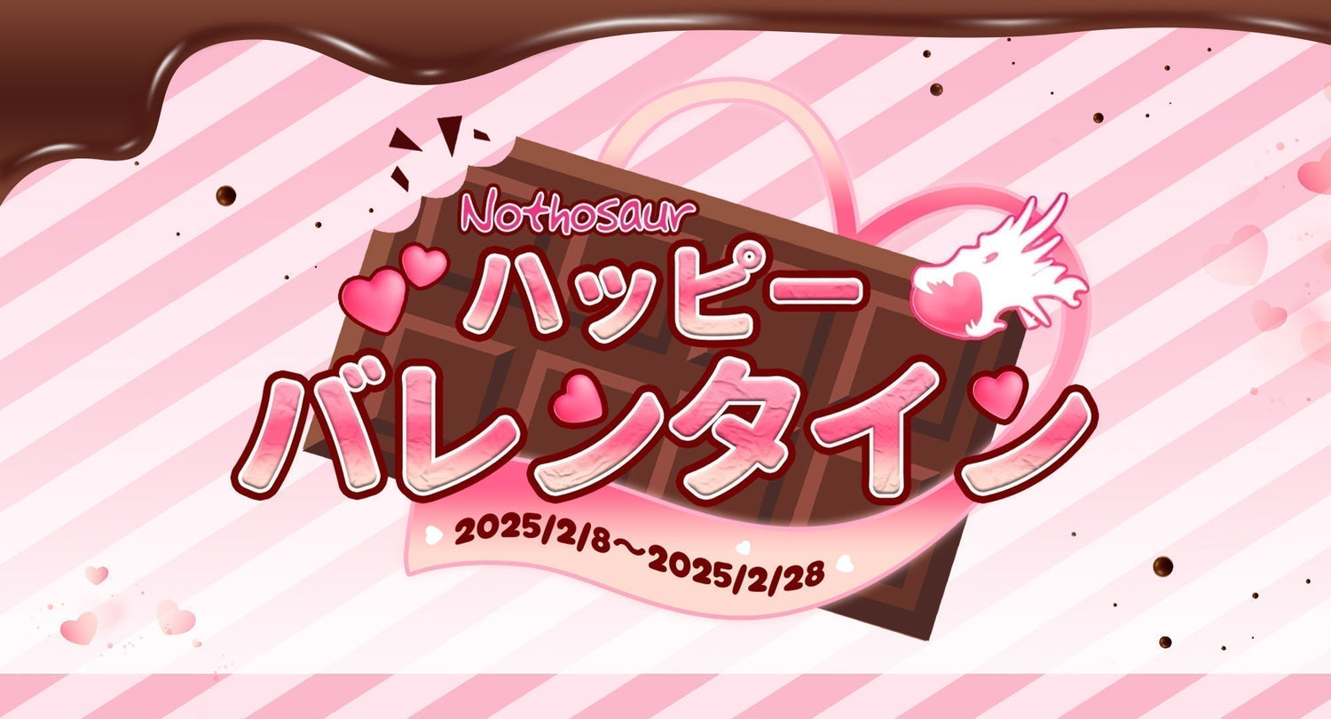 🍫ハッピーバレンタイン!Nothosaurバレンタイン記念キャンペーン開催中🍪