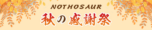 🍁Nothosaur 秋の感謝祭🍁