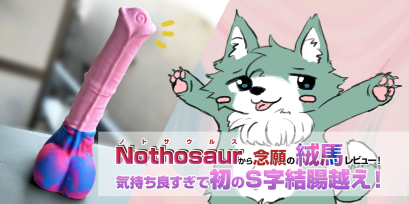 Nothosaurから念願の絨馬レビュー！気持ち良すぎて初のS字結腸越え！