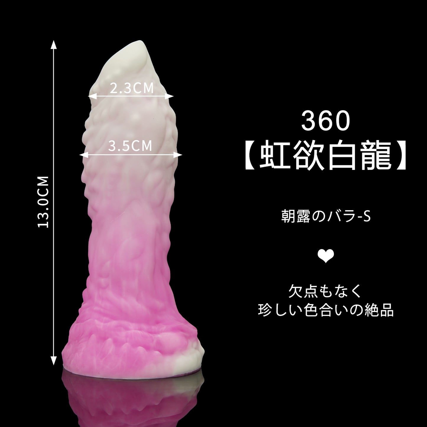 360 【虹欲白龍】  朝露のバラ S