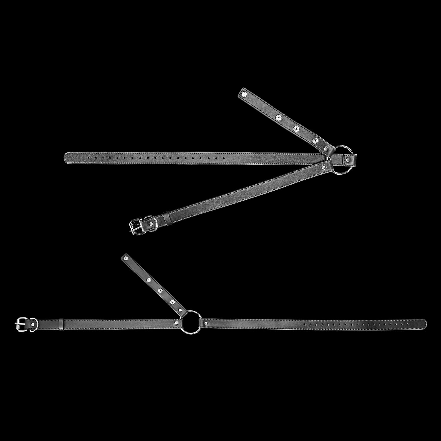 【メドゥーサ】 ペニスバンド ディルド固定用