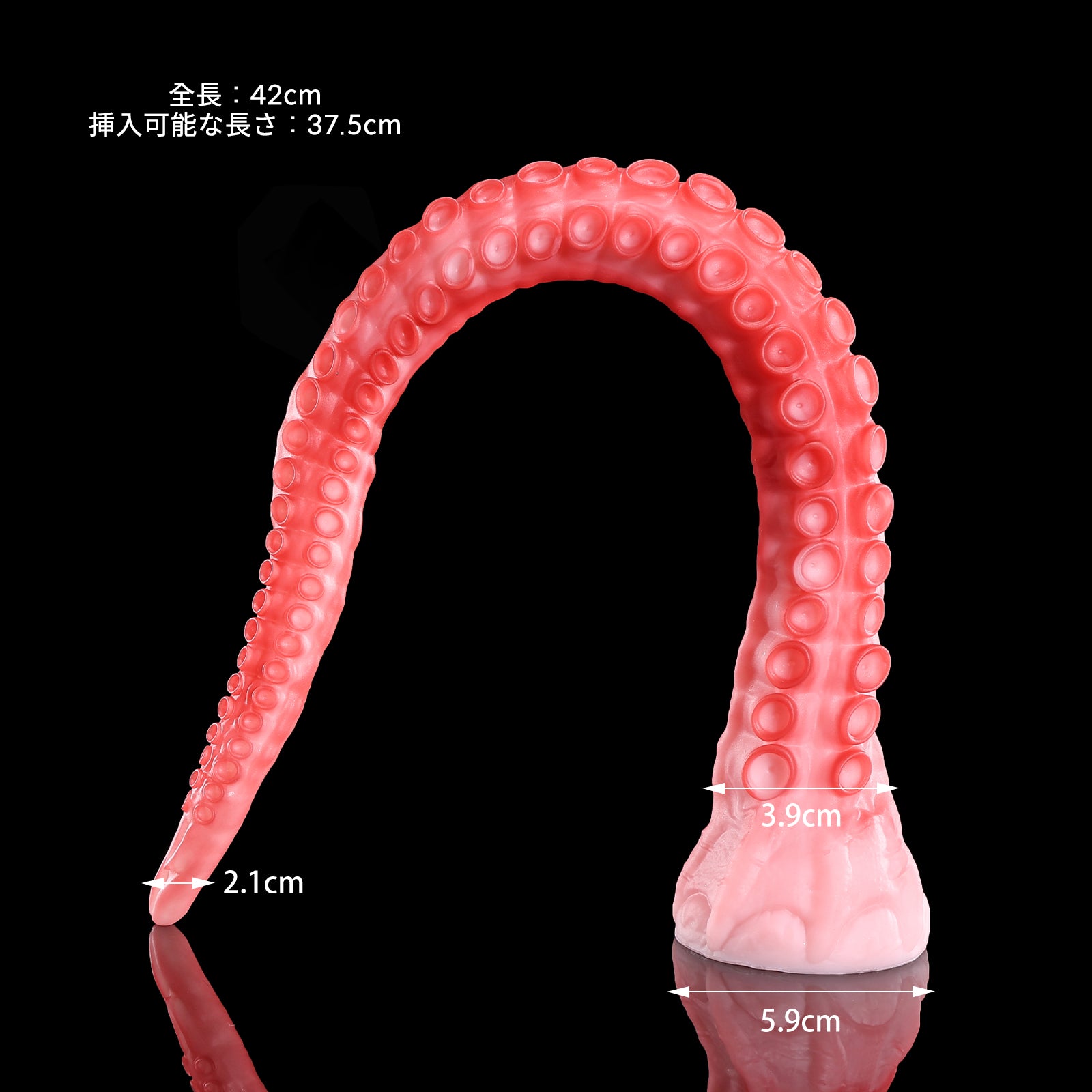234 【闇海の光】  ALLA S
