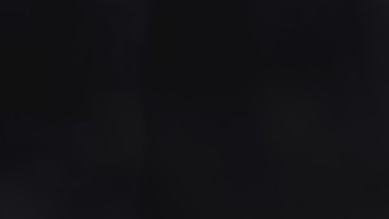 ヴェイラーの展示動画